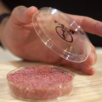  Introduzione alla carne coltivata
